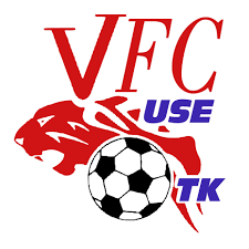 logo VFC USE