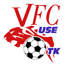 logo  VFC USE